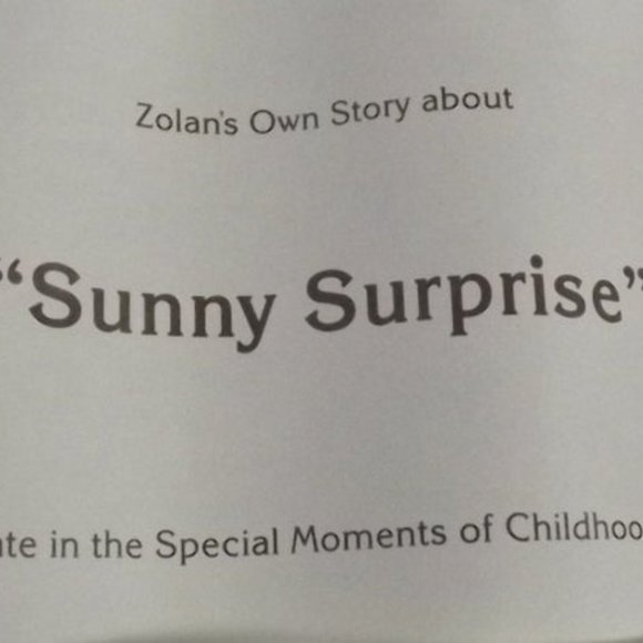 Sunny Surprise Collector Plate by Zolan 1989 - Picture 6 of 8